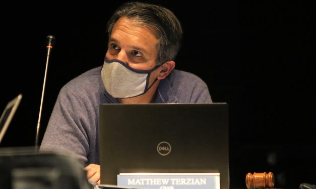 Terzian reelected school board chairman