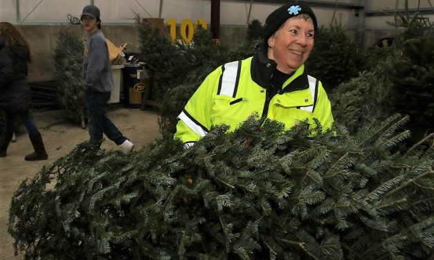 Bantam Christmas tree sale is underway
