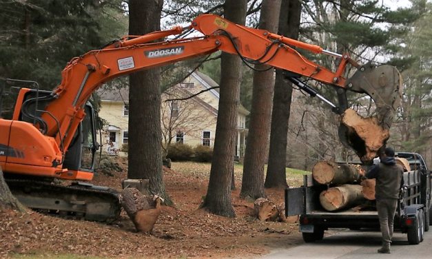 Keller Brothers create trail for greenway