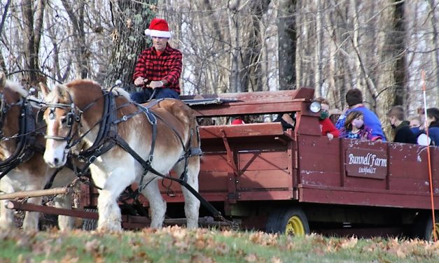 Warren School celebrates the season