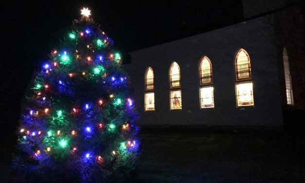 Milton tree lighting a festive occasion
