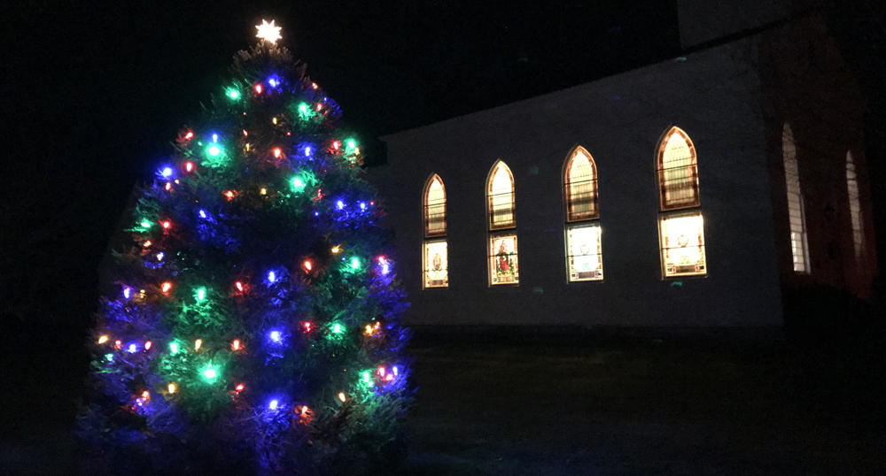 Milton tree lighting a festive occasion