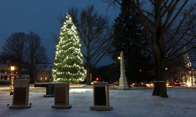 Warm Christmas wishes from Litchfield.bz