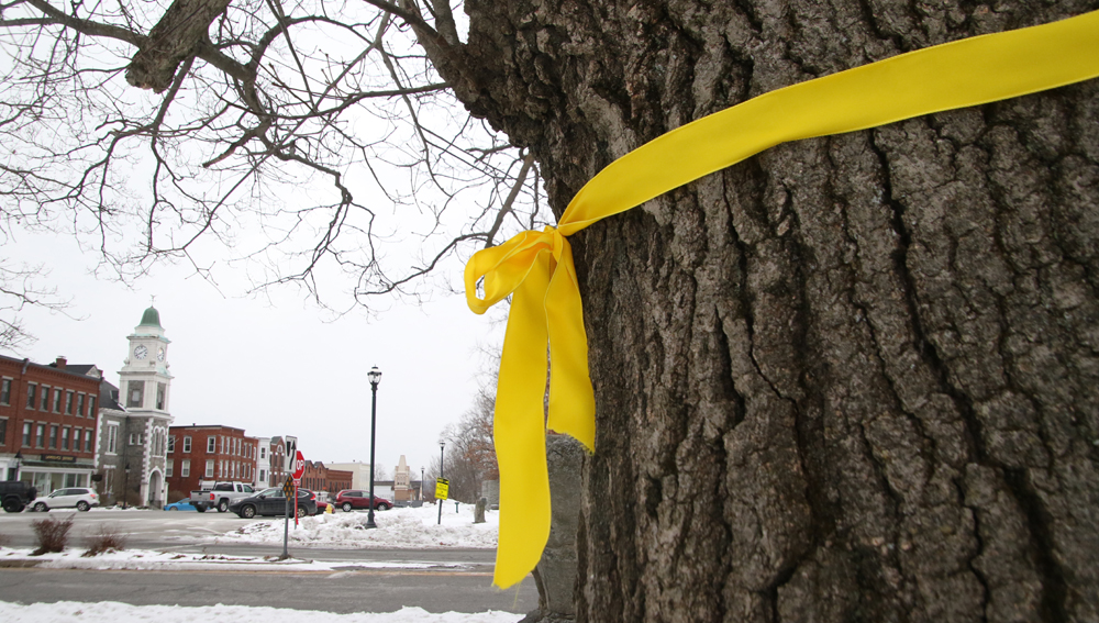 Ribbon supporters paint the Green yellow