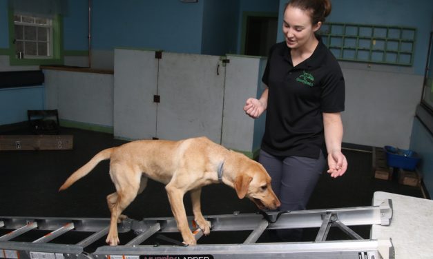 Kennel property to have new owners