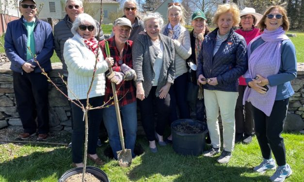 Garden Club plants peach tree at meadow
