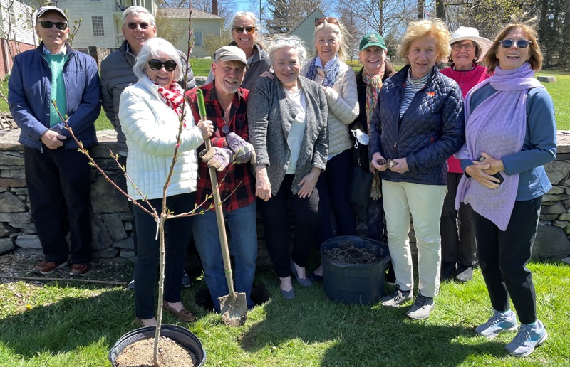 Garden Club plants peach tree at meadow