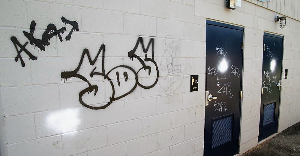 Graffiti defaces Community Field buildings