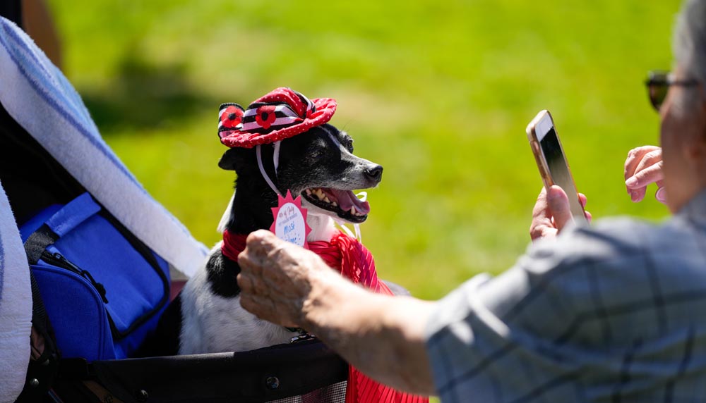 Pets on Parade at Tapping Reeve Meadow