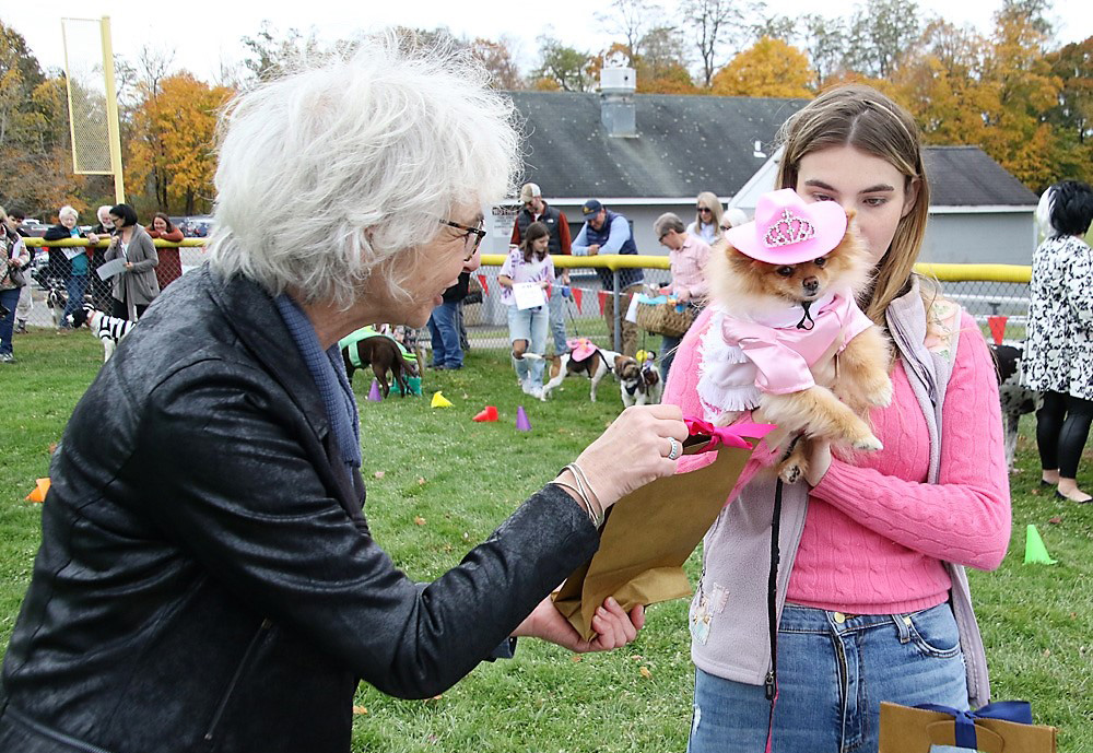 Pooches on parade at Community Field