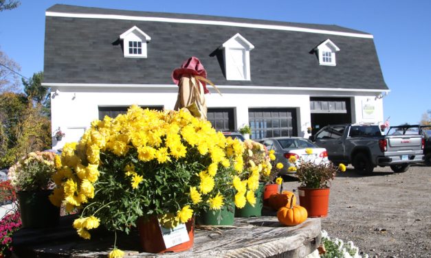 Permanent farm store gets nod in Goshen