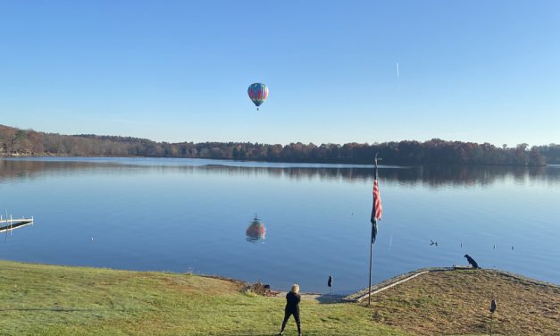Balloon lands on Bantam Lake shoreline