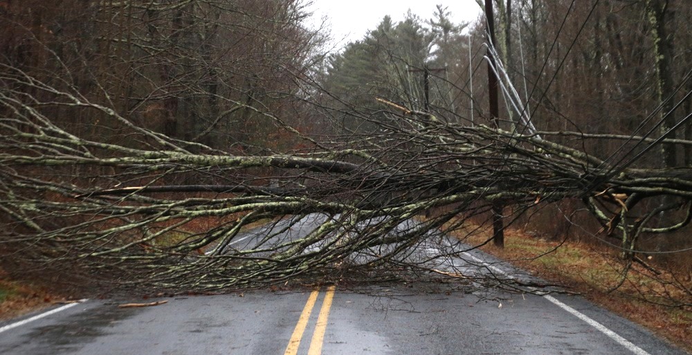 Fierce morning storm makes a mess