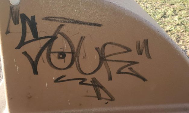 Spring vandalism hits Community Field