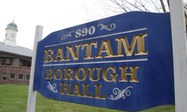 Borough elections to be held Monday