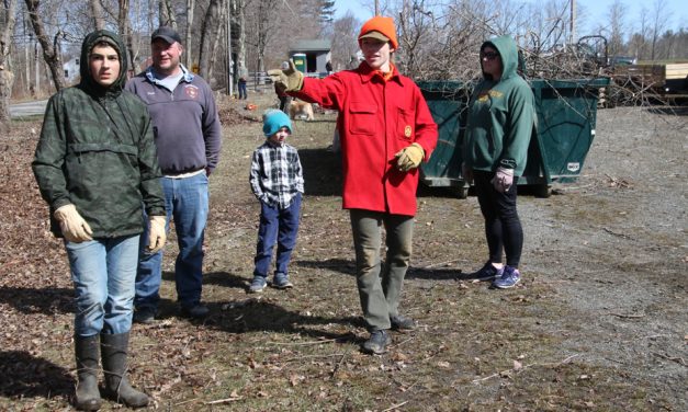 Troop 29 Scout takes on field makeover