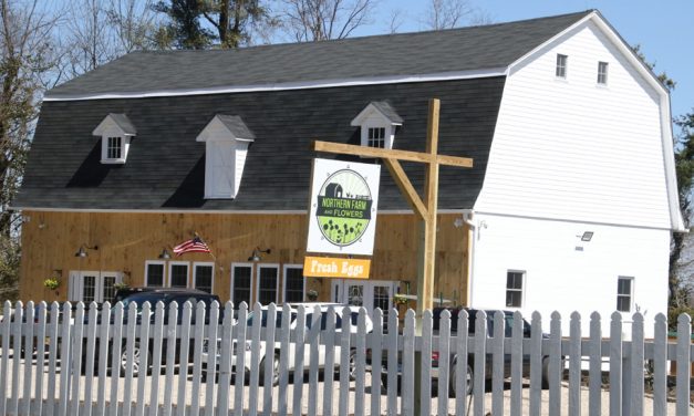 Goshen business to hold grand opening