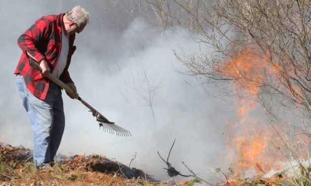 Sparks from wires ignite large brush fire