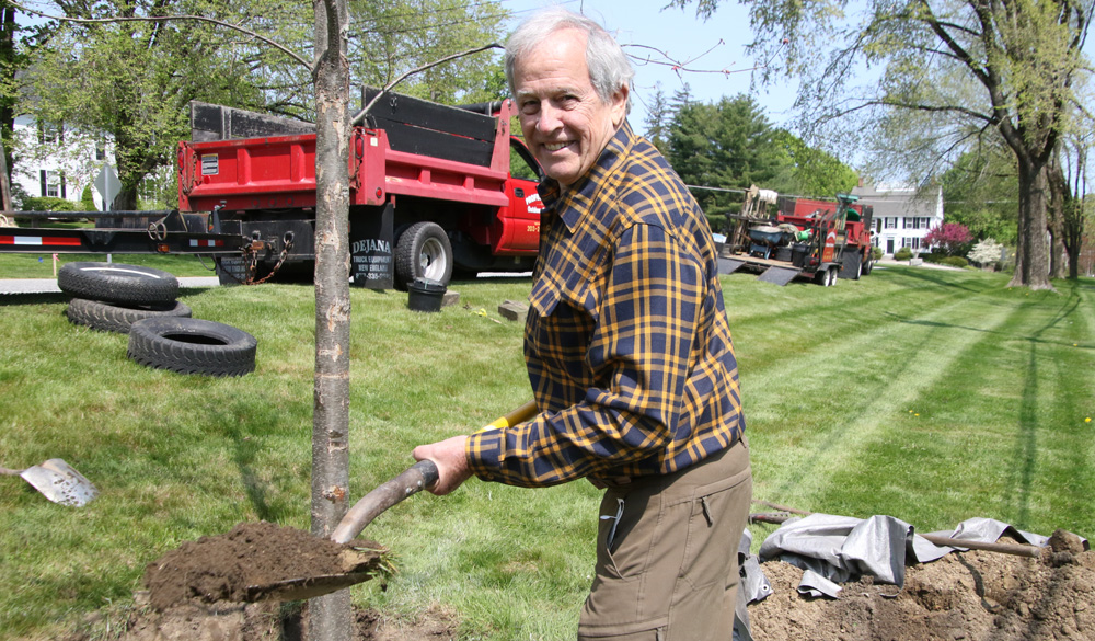 New tree a tribute to garden club mainstay