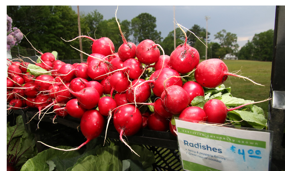 Bantam farmers market a hit on first try