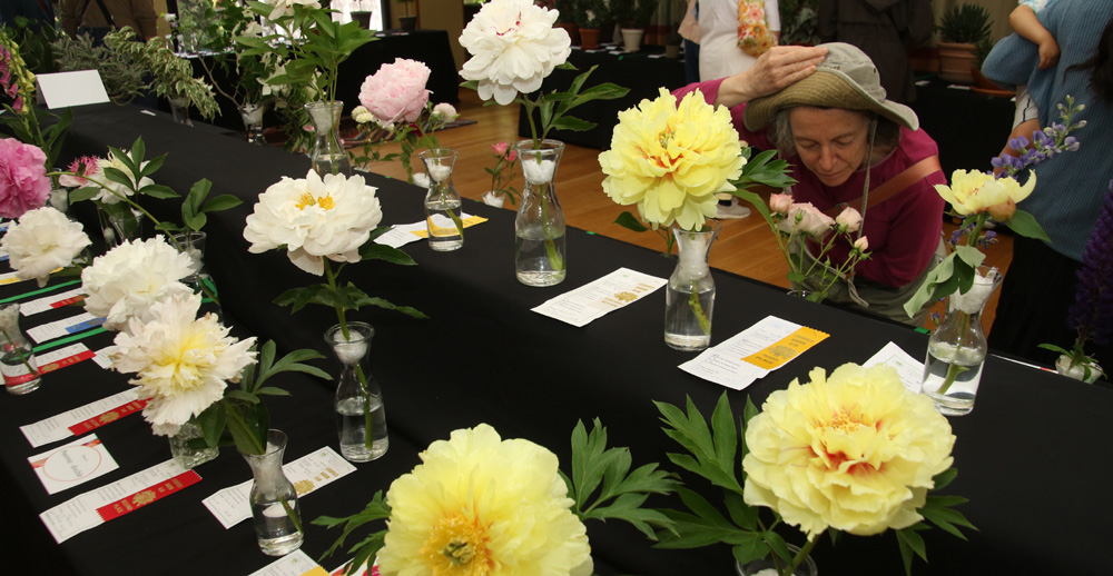 Club Flower show a sweet-smelling success