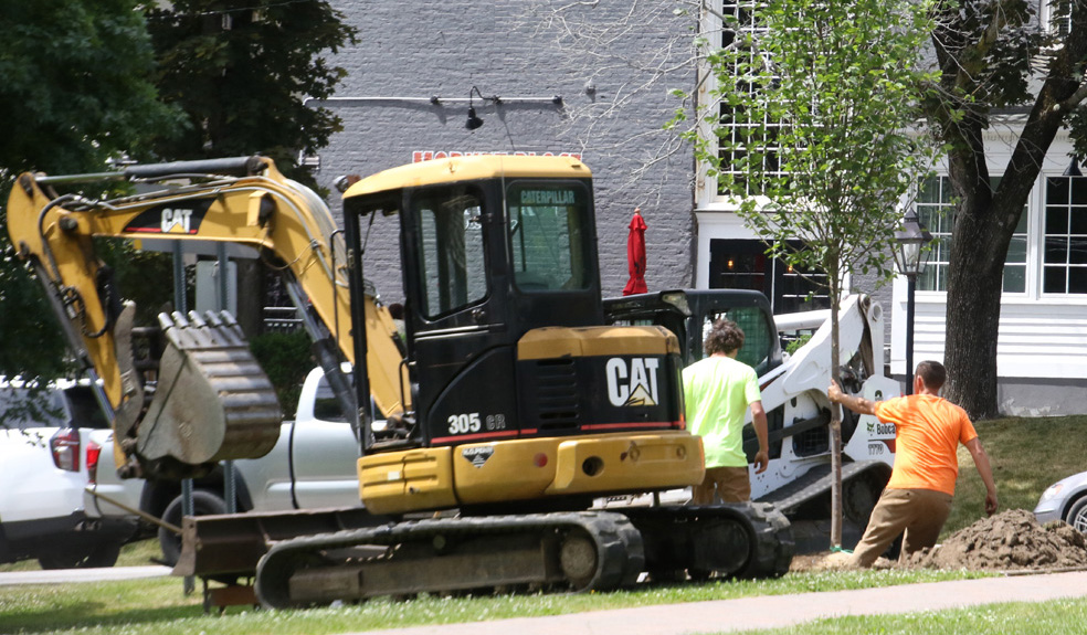 New trees fill empty spaces on the Green