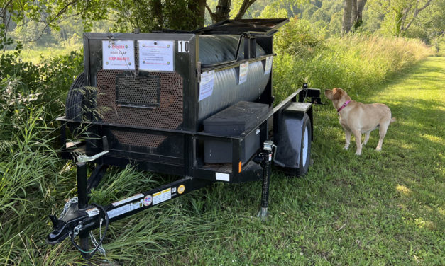 DEEP bids to ‘condition’ Baldwin Hill bear