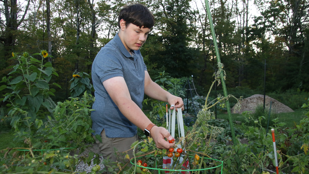 In Warren, a community garden is yielding