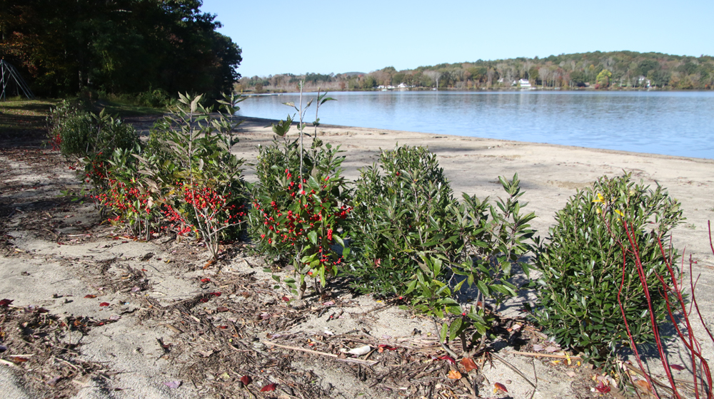 Improvements in place at Morris beach