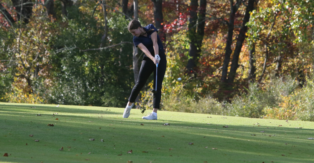 Litchfield golfers take aim at BL match