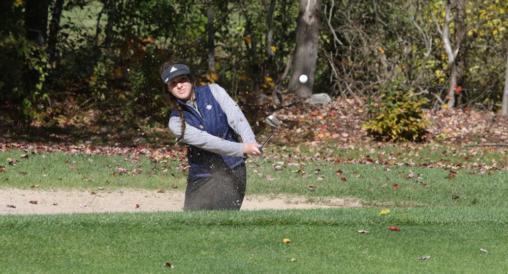 Litchfield golfers steady in state match