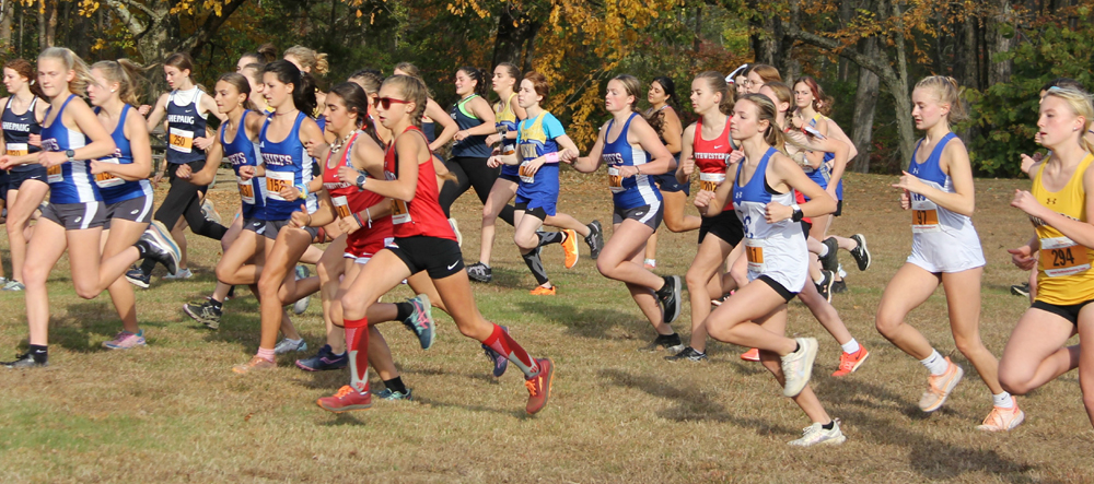 Markavich, LHS girls excel in BL title race