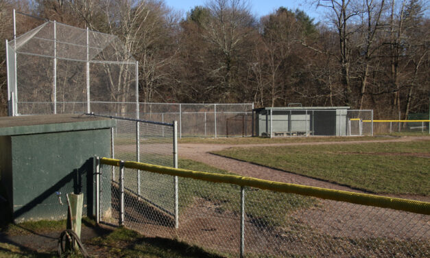 Community Field upgrade plan unveiled