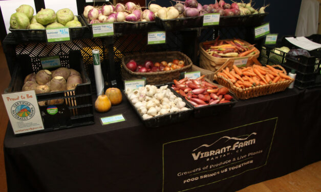 Farm market offering local products