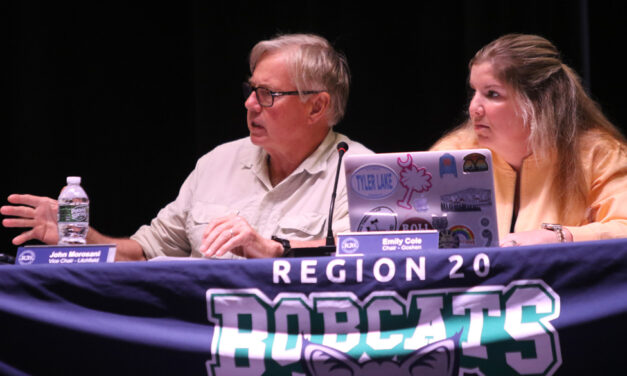 Fiscal issues are spoiling Region 20 debut