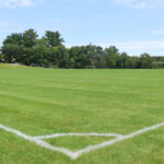 Ghost town: No life at Plumb Hill fields