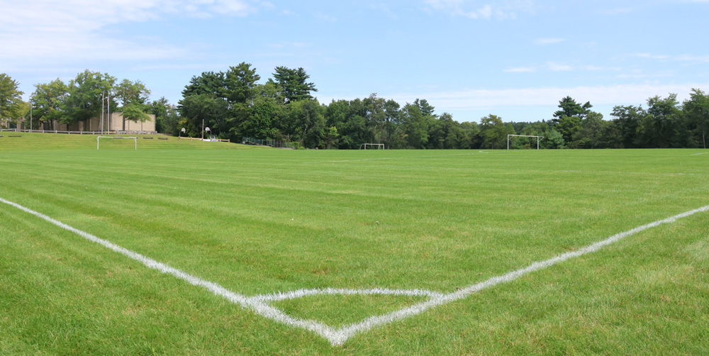 Ghost town: No life at Plumb Hill fields