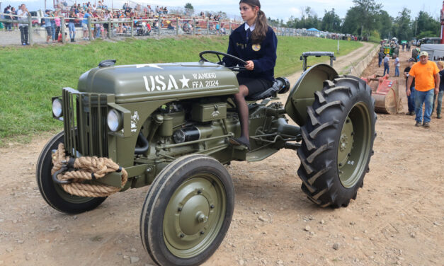 Restored Ford tractor gains a new owner