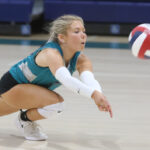 Success: Bobcats volleyball team gets a win