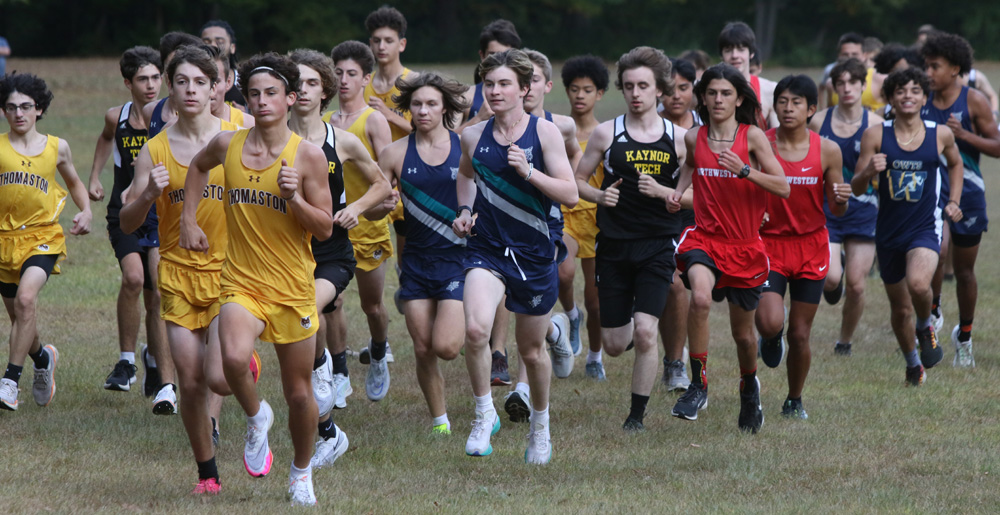 Schildgen sets pace for Lakeview harriers