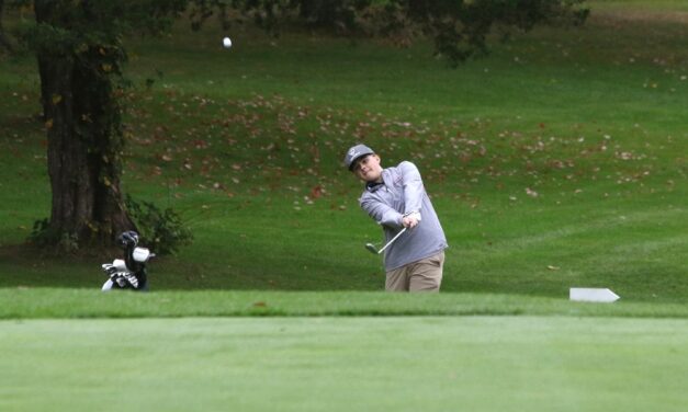 Lakeview golfers score two more wins