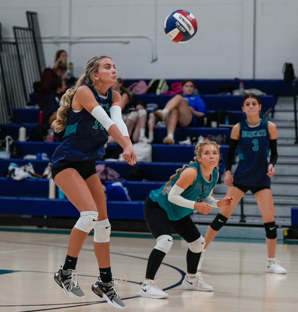 ‘Cats lose a close one in BL volleyball tilt Litchfield.bz