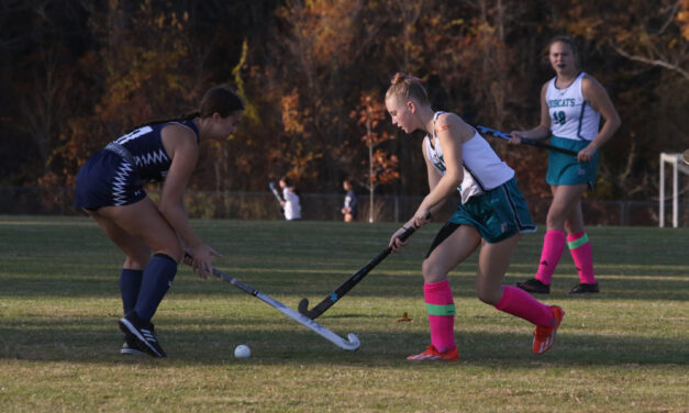 Lakeview in BL field hockey semifinals