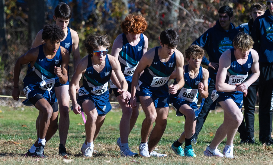 Lakeview boys run to fifth-place finish