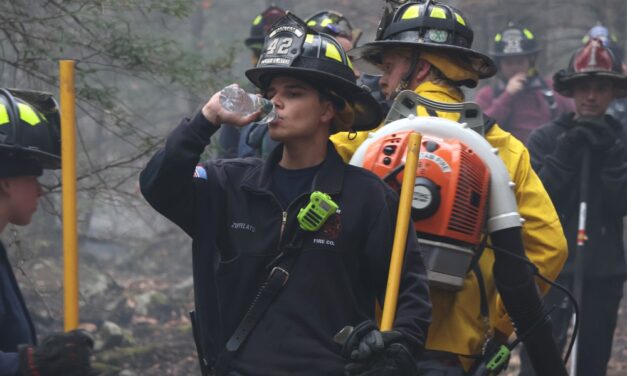 Local firefighters help smother brush fire