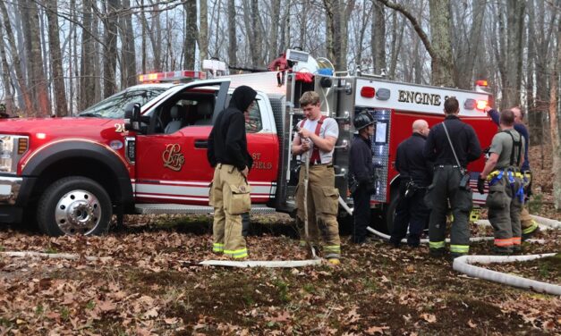 Local firefighters help quell brush fire