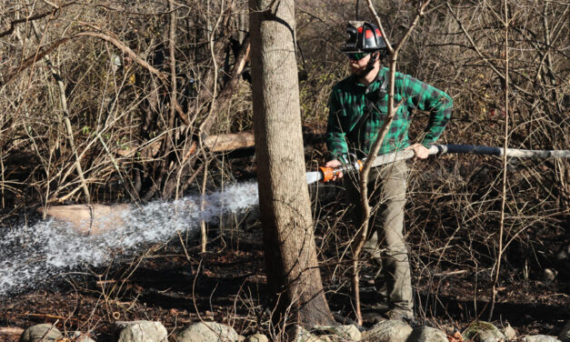 Smoky brush fire burns in Litchfield