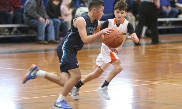 Hills hoop teams compete in tournament