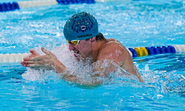 Lakeview swimmers to bid for BL title
