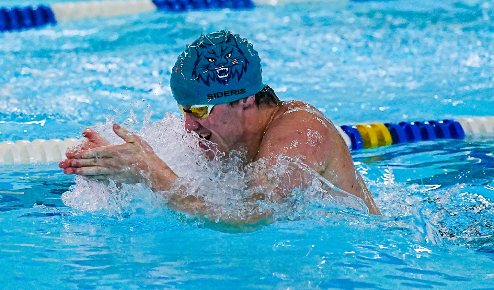 Lakeview swimmers to bid for BL title